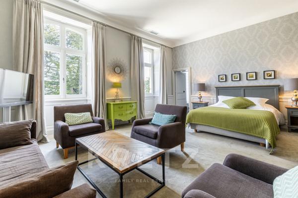 Château avec activité commerciale clé en mains