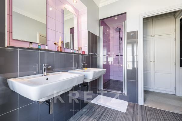 Château avec activité commerciale clé en mains