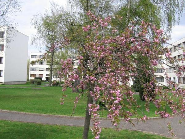 3 pièces dans petite Résidence quartier St Pierre
