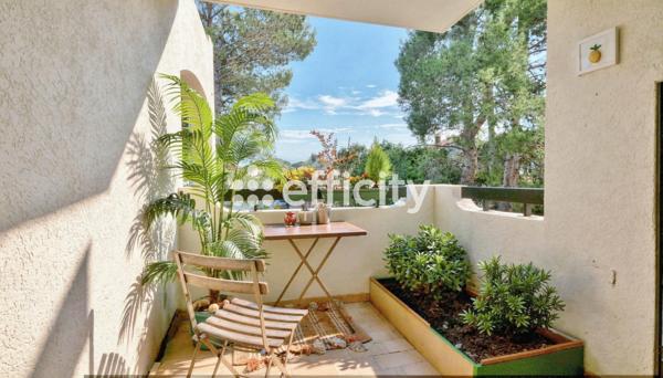 Appartement 2 pièces - 50 m²