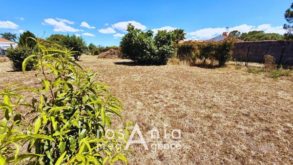Terrain à LES SABLES-D'OLONNE, 85340 - 1067m²