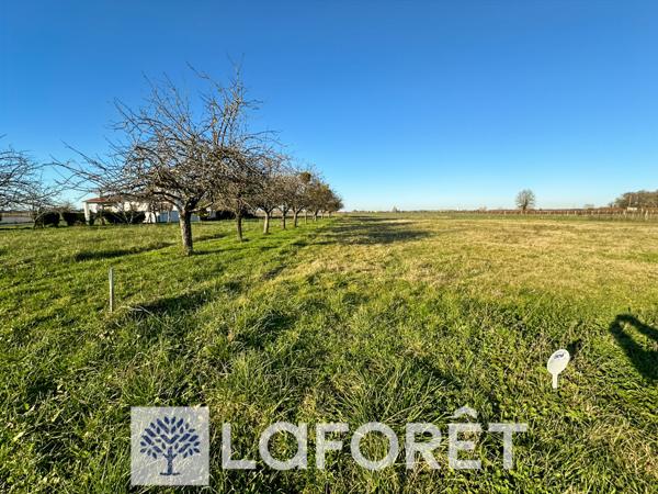 Achat terrain près de GEMOZAC - 1011 m² - 33 000 €