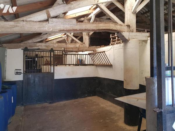 EXCLUSIVITÉ OFFICE NOTARIAL DU VIGNOBLE