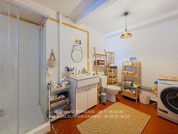 Maison de village Chateau Arnoux Saint Auban 140 m2 avec terrasse, combles et caves