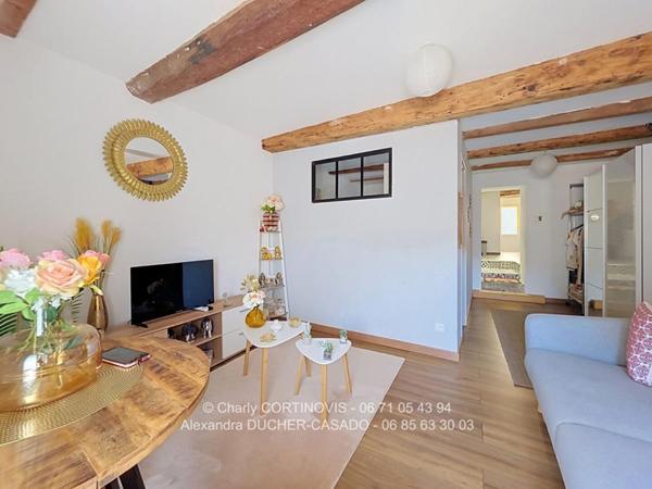 Maison de village Chateau Arnoux Saint Auban 140 m2 avec terrasse, combles et caves