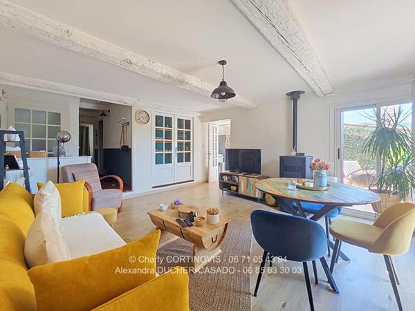 Maison de village Chateau Arnoux Saint Auban 140 m2 avec terrasse, combles et caves