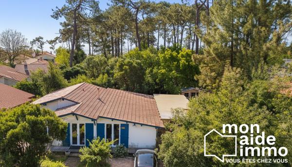 Maison rénovée 4 chambres sur terrain arboré