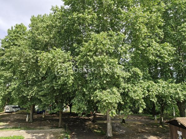 Venez découvrir cette charmante maison d'environ 121m2 sur son terrain clos de 147m2 dans un environnement calme à Bergerac
Elle se compose au rez-de-chaussée d'une entrée donnant accès en face à un dégagement et à votre gauche à un espace détente puis une cuisine aménagée et équipée, puis un grand et lumineux salon/salle à manger de 29m2 avec insert et climatisation réversible suivi d'une salle d'eau, d'un WC séparé et un garage de 11m2.
A l'étage, vous disposerez de trois chambres ainsi qu'une salle de bain et un WC séparé.
Pour la partie extérieure, la terrasse permet de passer des moments ou repas conviviaux dans un environnement calme.
Le bien se situe à Bergerac à 5min de ses commerces.
Le système de chauffage est électrique.
L'assainissement se fait par le tout à l'égout.
Ce qu'on aime : le double vitrage, le jardin clos, l'environnement calme, le garage, proche des commodités, les trois chambres, pas de travaux à prévoir, la climatisation réversible....
Disponible pour votre projet immobilier, je m'adapte à votre agenda pour visiter...