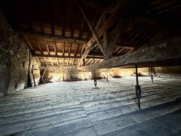 IMMEUBLE A FORT POTENTIEL - Revel (31250)