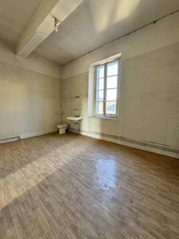 IMMEUBLE A FORT POTENTIEL - Revel (31250)