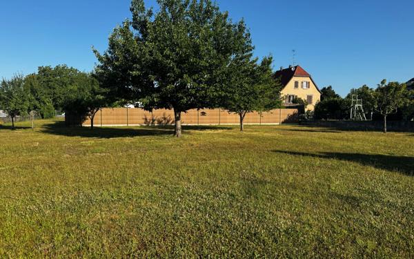 Terrain à vendre    Colmar