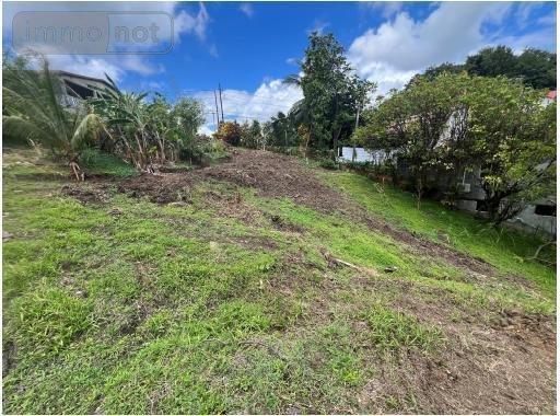 Terrain à Batir à vendre à Le François en Martinique (97240), ref : 97204-384