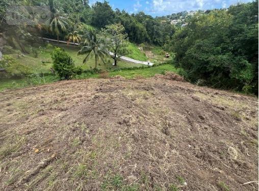 Terrain à Batir à vendre à Le François en Martinique (97240), ref : 97204-384