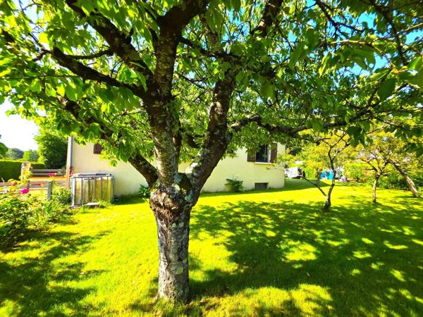 Maison avec vie de plain-pied, garage en sous-sol, terrain sur Baugé