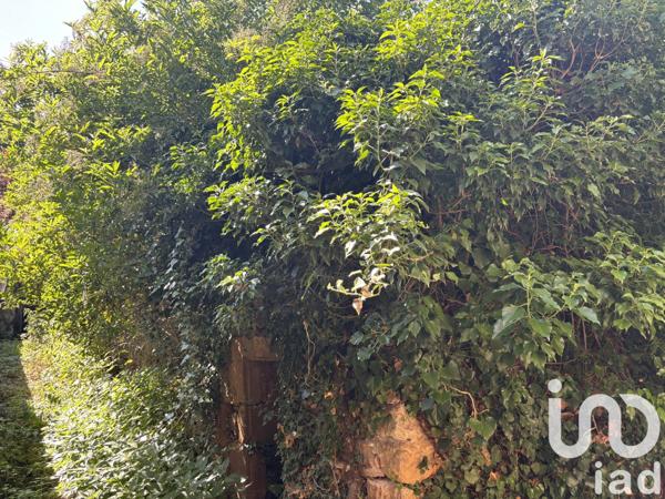 Maison à vendre 1 pièce 100 m² Coudes