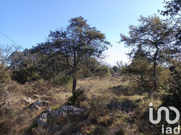 Terrain à vendre 1 964 m² Les Vans