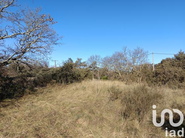 Terrain à vendre 1 964 m² Les Vans