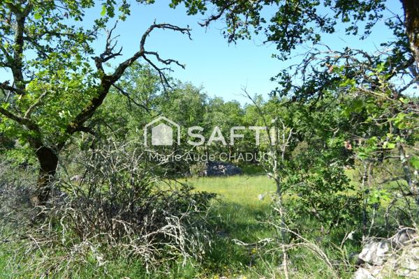 Mazet 90 m2 sur plus de 8 hectares attenants avec puit