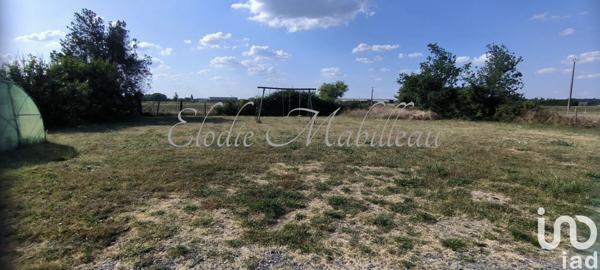 Maison 5 pièces de 134 m² à Beaufort-en-Anjou (49250)