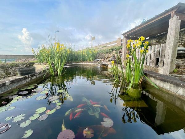 Maison individuelle  8 pièce(s) 212 m2