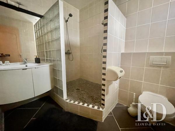 Ténement immobilier 800 m2 au bord du Rhône