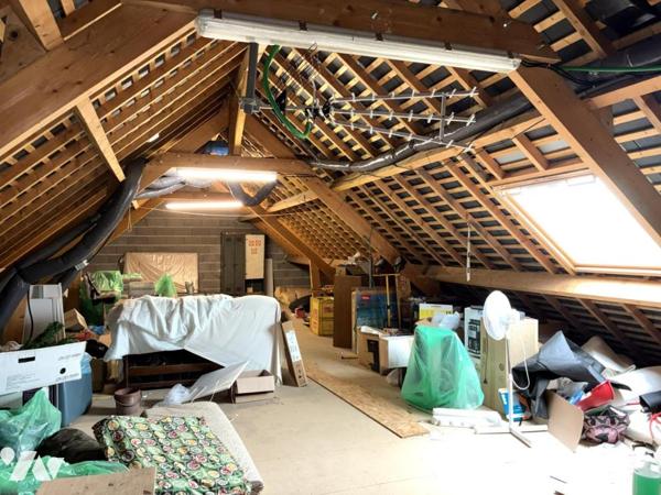 FORCE - Pavillon plain-pied