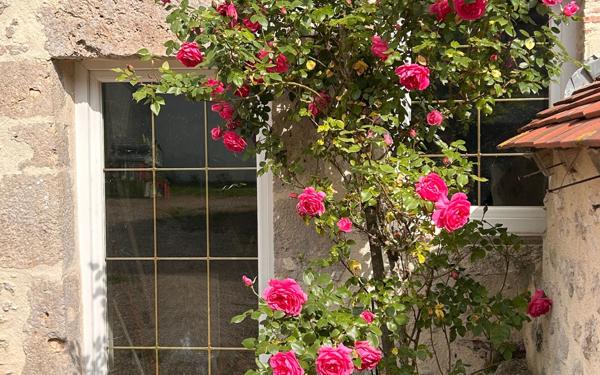 Maison à vendre    5 pièces •  Mer