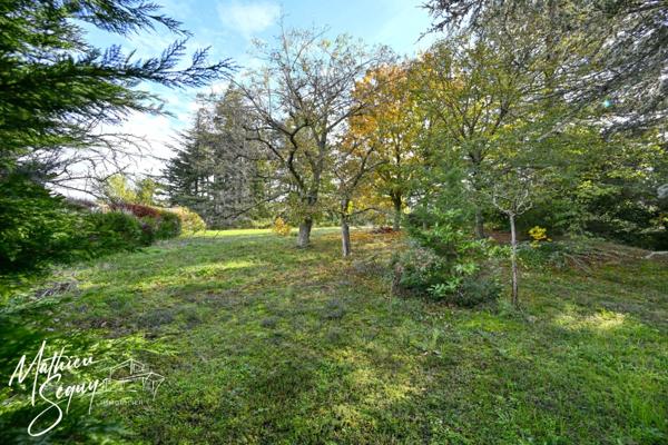 Jolie terrain avec vue pour accueillir tous vos projets de vie !