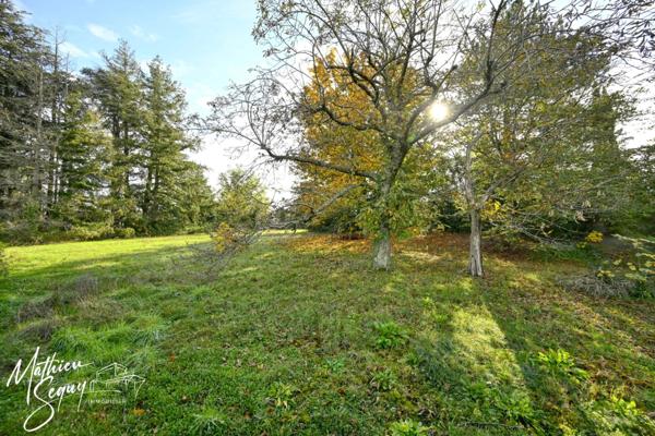 Jolie terrain avec vue pour accueillir tous vos projets de vie !