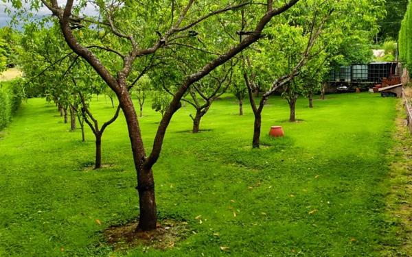 Maison à vendre    9 pièces • 163,40 m2 Gournay-en-Bray