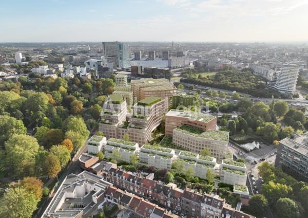 Bureaux neufs à vendre ou à louer à Lille quartier d'affaires accès TGV