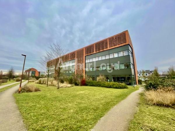 Bureaux à louer à Villeneuve d'Ascq - Immeuble indépendant sécurisé - Espaces modulables et parkings