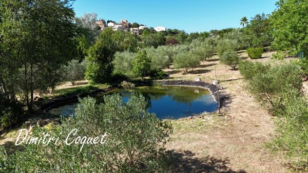 Villa  4 chambres piscine,sous-sol et oliveraie