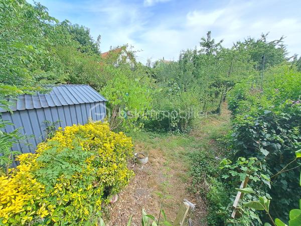 Laurent Jacquet vous propose à la vente cette maison à rénover, située dans un quartier calme d'Abbeville, à proximité de l'autoroute A16, implantée sur un terrain d'environ 950 m². Elle se compose :

Au rez-de-chaussée :
- une entrée ouvrant sur un séjour d'environ 15 m² ;
- une cuisine d'environ 12 m² ;
- une cour couverte d'environ 16 m² donnant accès à une salle de douches avec WC ;
- un dégagement avec rangement permettant l'accès au jardin.

Aux  étages :
- une chambre d'environ 15 m² ;
- un grenier au dessus d'environ 8 m² (hauteur sous plafond de 1,80 m) soit 17m² au sol, offrant un potentiel d'aménagement selon vos besoins.

À l'extérieur :
Vous profiterez d'un chemin privé menant à un verger avec de nombreux arbres fruitiers ainsi que de plusieurs abris de jardin à conforter.

Cette maison est chauffée par des radiateurs, dispose en partie de menuiseries en PVC et est raccordée au tout-à-l'égout.
