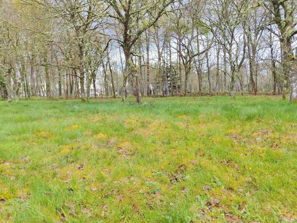 Terrain viabilisé libre de constructeur au calme