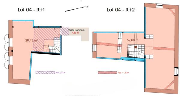 Saint-Priest / Manissieux - T3 duplex en plateaux