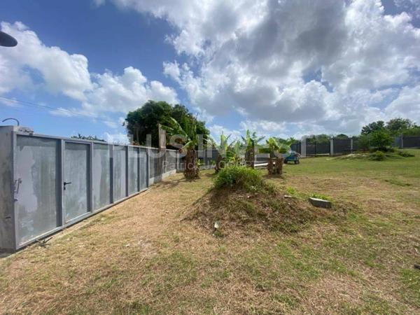 Beau Terrain Plat Baie-Mahault