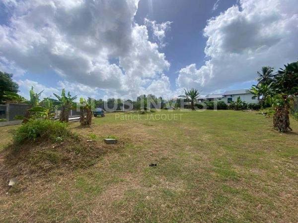 Beau Terrain Plat Baie-Mahault