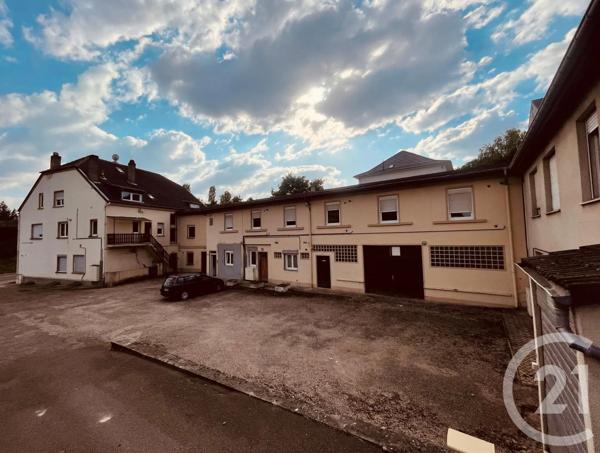 Immeuble à vendre  978 m 2   CREUTZWALD  - 57