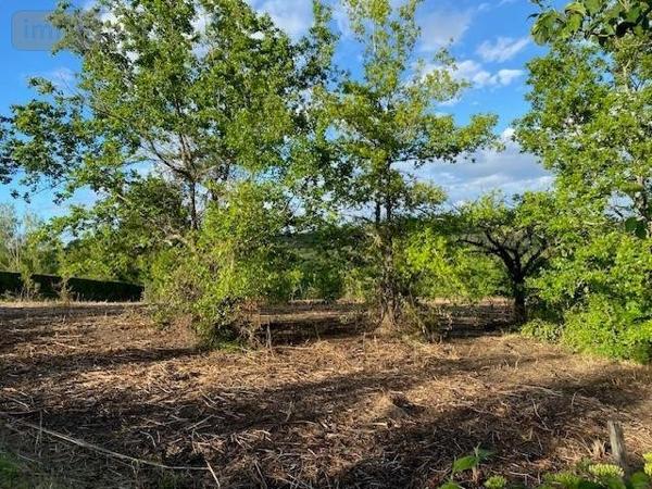 Terrain à Batir à vendre à Puylaroque dans le Tarn-et-Garonne (82240), ref : 009/1676