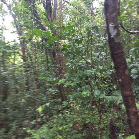 À Vendre :  Beau Terrain de 2597 m² au Gosier - Secteur La Bouaye