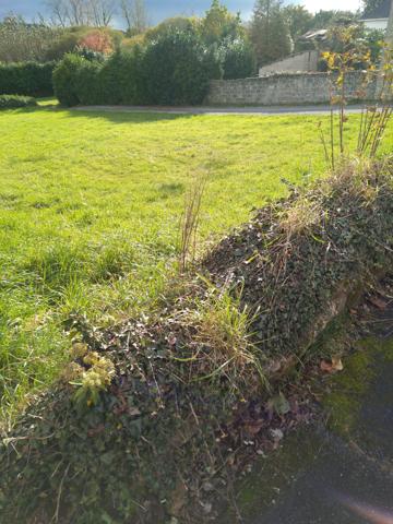 TERRAIN de 592 m2 à Scaer