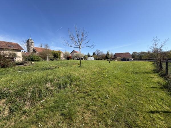 Vente / Maison et grand terrain