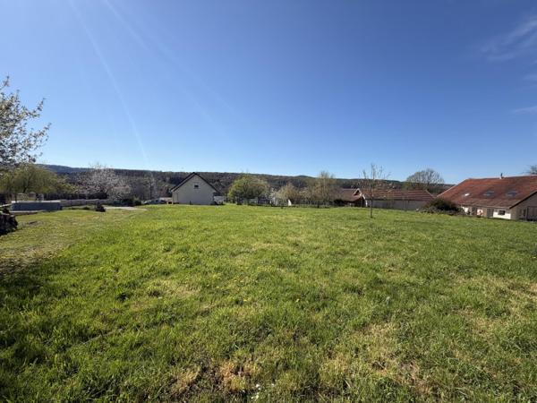 Vente / Maison et grand terrain