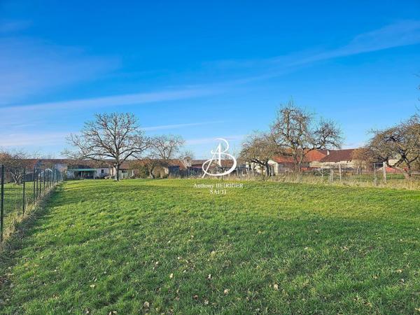 Belle maison lumineuse sur 4900 m2 de terrain