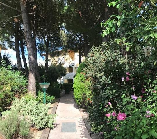 Vente / Appartement T3