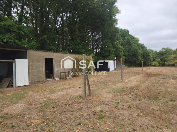 Maison avec vie de plain pied