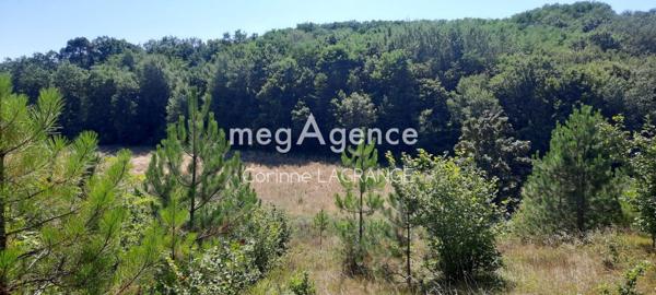 Terrain à TRELISSAC, 24750 - 1381m²