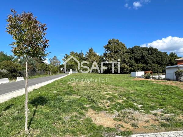 MAGNIFIQUE BAISSE DE PRIX