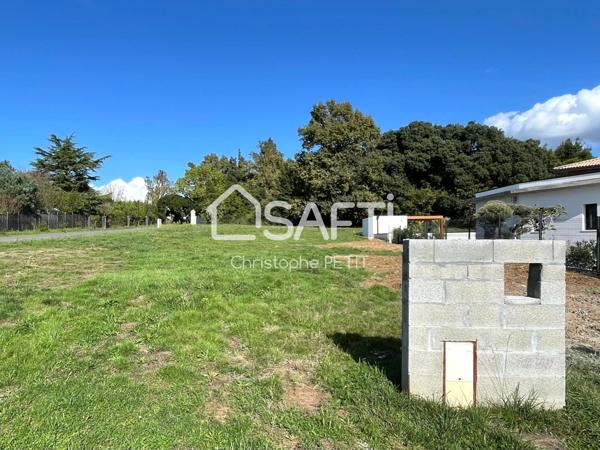 MAGNIFIQUE BAISSE DE PRIX